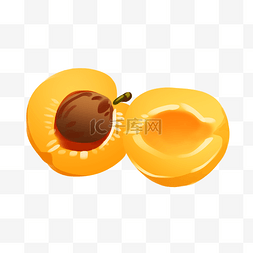 进口图片_美味的水果杏插画