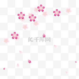 樱花花瓣图片_樱花花瓣png矢量元素