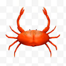 手绘橘红色螃蟹插画