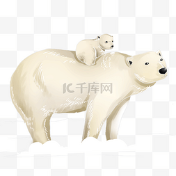 可爱北极熊免扣素材