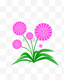 花卉盆栽卡通图片_矢量手绘卡通粉色花朵渐变