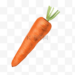 矢量手绘蔬菜图片_手绘蔬菜食材红萝卜插画