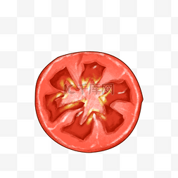 红色新鲜番茄西红柿果蔬写实手绘