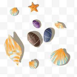 手绘贝壳贝壳图片_卡通手绘夏天海边贝壳海螺