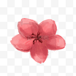 红色樱花花瓣图片_手绘樱花花朵插画