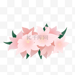 手绘桃花图片_手绘桃花花朵花簇