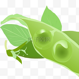 免抠绿色豌豆素材图片_立秋绿色小清新唯美手绘卡通豌豆