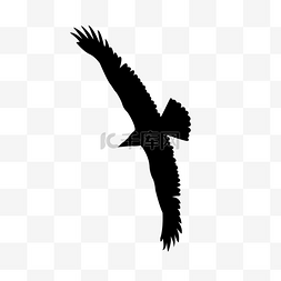 海燕翱翔图片_黑色老鹰剪影轮廓
