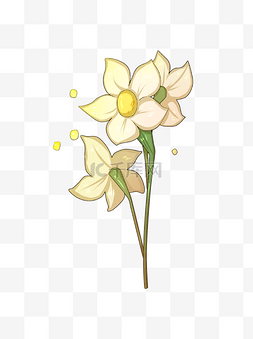 手绘水仙花朵插画可商用元素