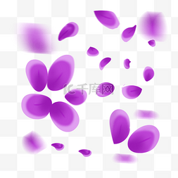紫色花瓣漂浮图片_漂浮紫色花瓣