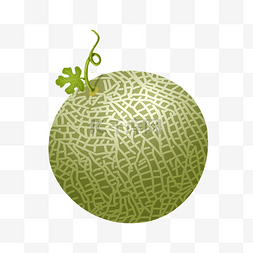 绿色装饰物图片_水果装饰图案结实哈密瓜