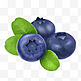 卡通手绘蓝莓水果