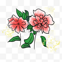 牡丹花卉插画图片_手绘花卉PNG元素