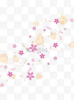 漂浮树叶花瓣植物叶子装饰樱花