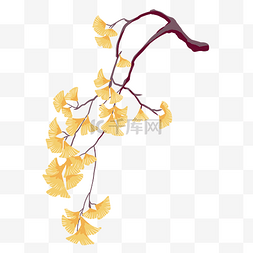 黄色扇形花朵树枝插画