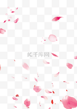 春天桃花花瓣装饰背景素材春分