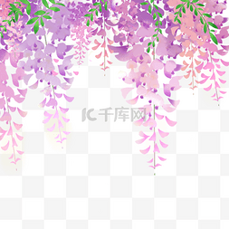 唯美植物花边图片_手绘紫藤萝顶部花边