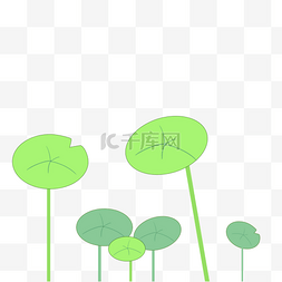 夏至荷叶绿色png