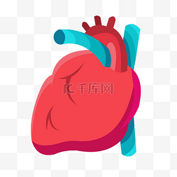 红蓝建筑配色图片_红蓝手绘人体器官心脏矢量免抠素