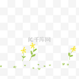 黄色的花朵免抠图