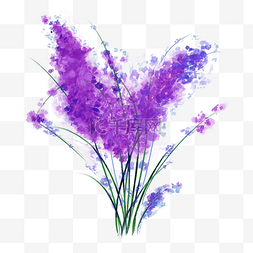 春季春日紫色花植物PNG春天春日风