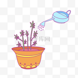 盆栽植物花卉图片_植物浇花盆栽花插画