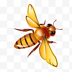 采蜜小蜜蜂图片_手绘矢量仿真蜜蜂