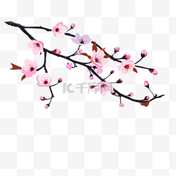 粉色花卉手绘图片_樱花树樱花节春天花卉手绘矢量
