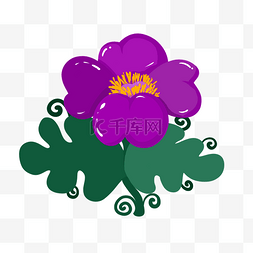 卷曲的树叶图片_紫色的神奇魔环花朵