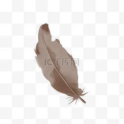 褐色的鸟图片_褐色水彩水粉装饰羽毛
