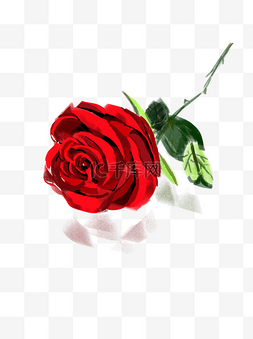 手绘花图片_神秘的红色玫瑰花