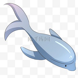 动物世界鲸鱼手绘插画