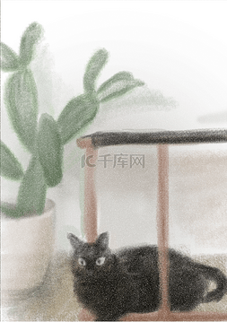 简约背景下载图片_猫和仙人掌主题小清新插画背景