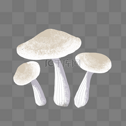 手绘小蘑菇插画设计