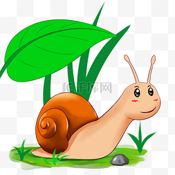 蜗牛图片_春天可爱的蜗牛插画
