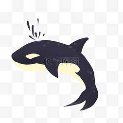 游泳的鲸鱼图片_卡通手绘海底动物虎鲸