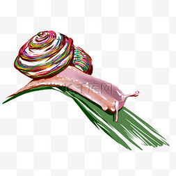 动物蜗牛彩色多色PNG免抠