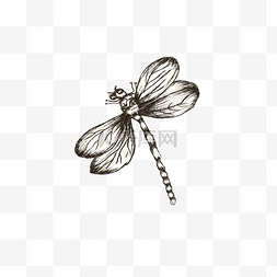 翅膀图片_唯美的素描小蜻蜓矢量图