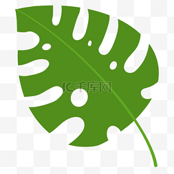树叶图片_绿色热带叶子素材图