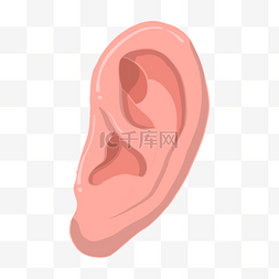 卡通人体器官耳朵