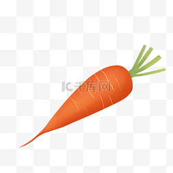 新鲜蔬菜卡通胡萝卜