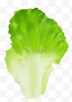 火锅节绿色写实小清新蔬菜生菜png