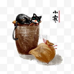 节气小寒狸猫水缸手绘插画