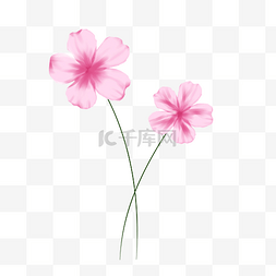 美丽的大花朵图片_粉色花手绘装饰图案