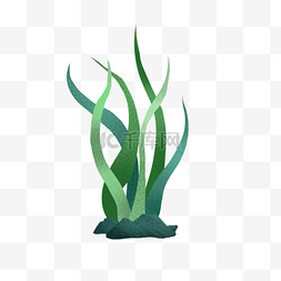 海藻图片_绿色手绘的海草效果图