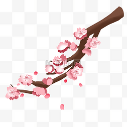 樱花卡通树枝图片_粉色的樱花花枝插画