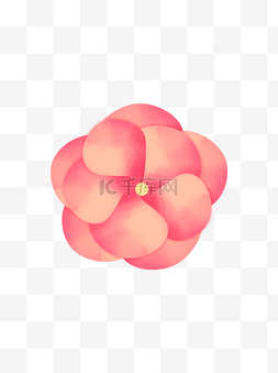 桃色花瓣图片_精致手绘桃色水墨纹理花卉元素