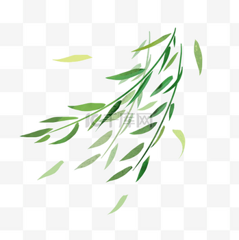 春天柳叶枝条飘png