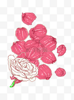 手绘白玫瑰花花瓣透明底唯美素材