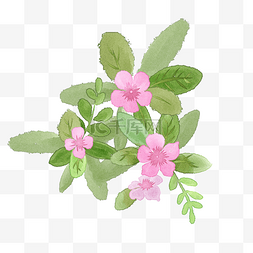 水彩绿植手绘图片_手绘水彩粉色小花插画